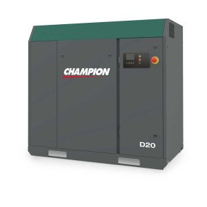 Champion D20 20 HP